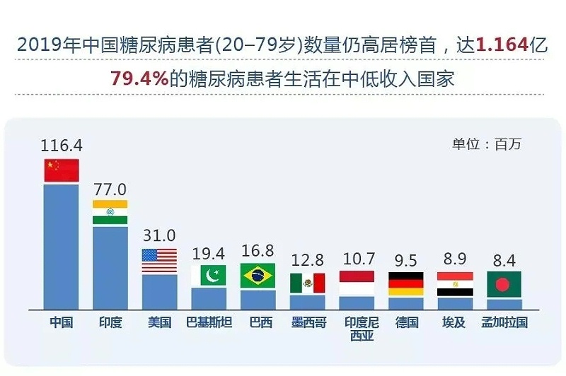 水蛭素、血糖、糖尿病