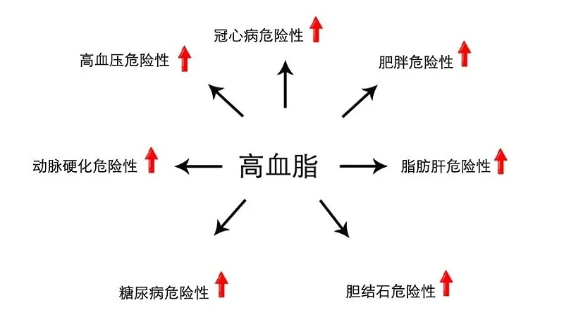 水蛭素、血脂高、血脂異常