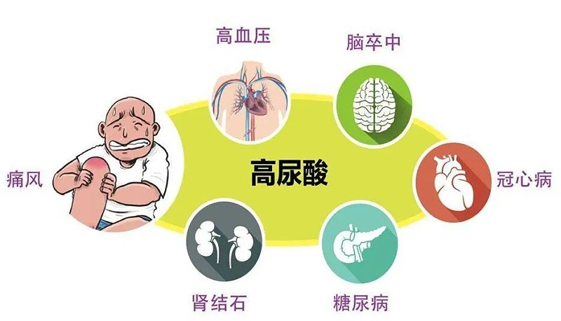 水蛭素、高尿酸、痛風