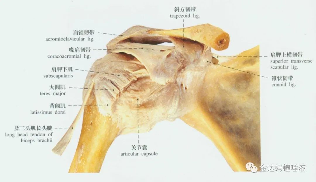 真實案例 | 腕關節(jié)囊積液，發(fā)炎腫脹，疼痛難忍，真就對它沒辦法嗎？